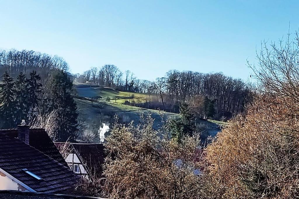 Kleine, Gemuetliche Dachgeschosswohnung Laudenbach  Екстериор снимка